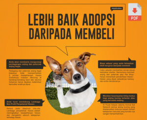 adopsi dibandingkan membeli hewan
