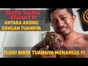 cinta tanpa syarat
