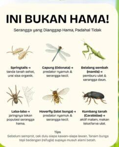 hewan dipandang sebagai makhluk hidup bukan gangguan