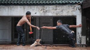 hewan diselamatkan saat dalam bahaya