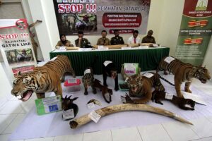 hewan tidak diburu atau diracun