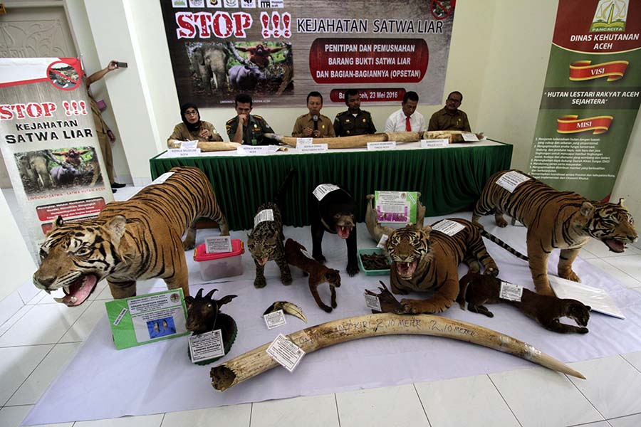 hewan tidak diburu atau diracun