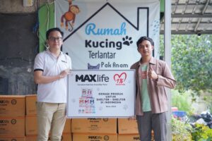 program feeding hewan tanpa rumah