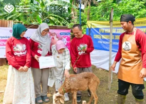 lebih banyak donatur hewan