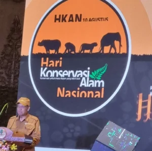 masa depan lebih baik