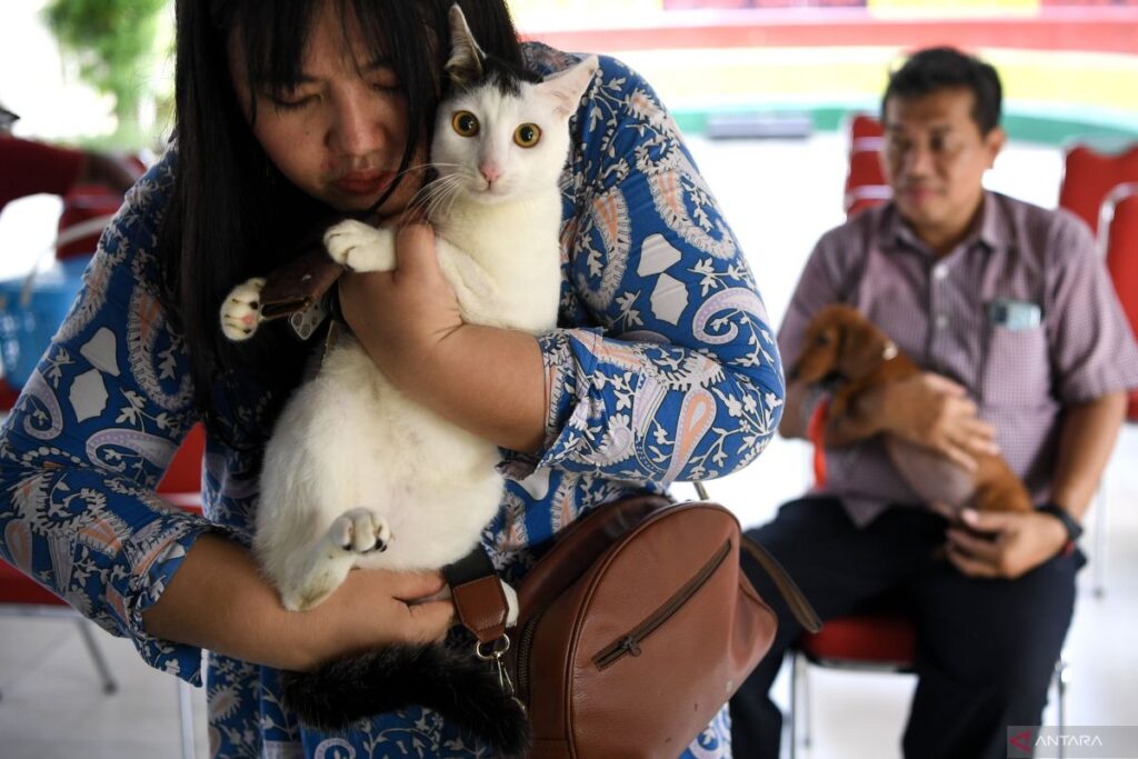 hewan hidup dengan harapan
