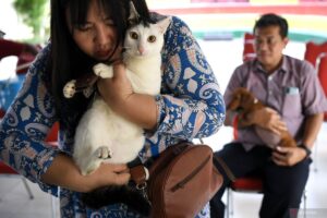 hewan hidup dengan harapan