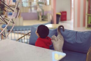 Mengenal Adaptasi Hewan terhadap Lingkungan Hidupnya
